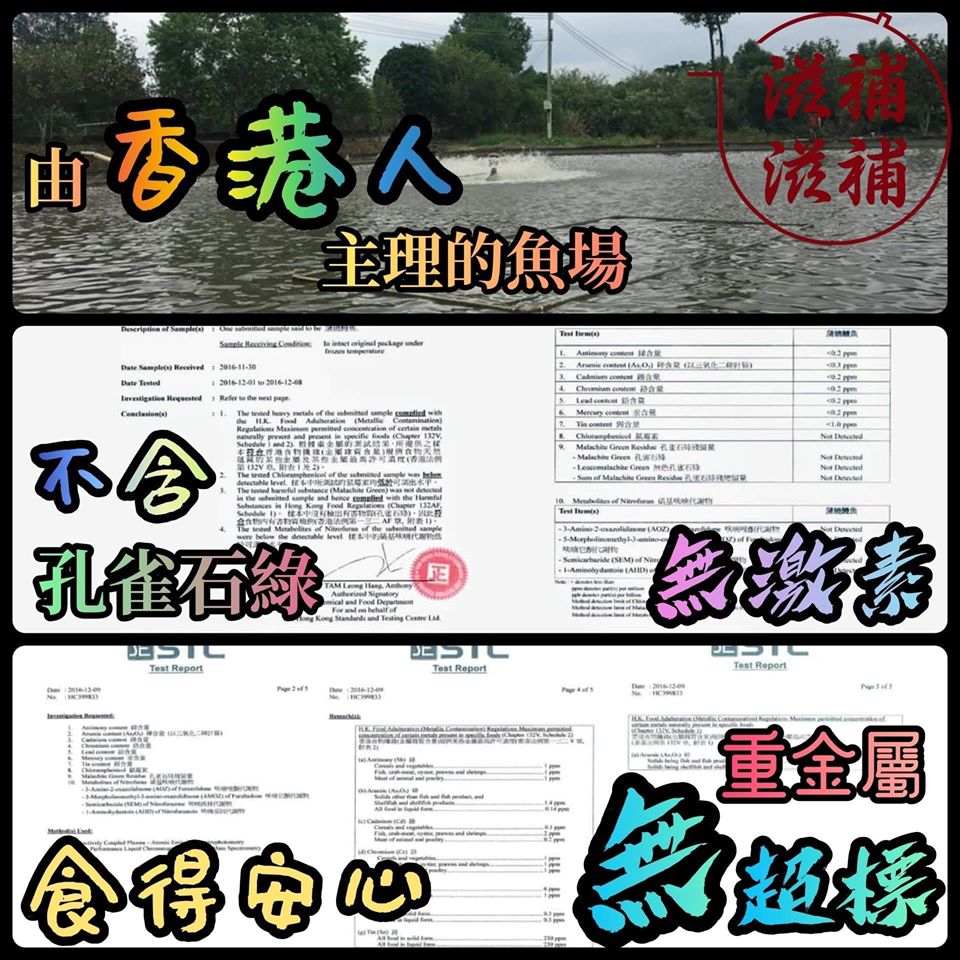鰻魚王