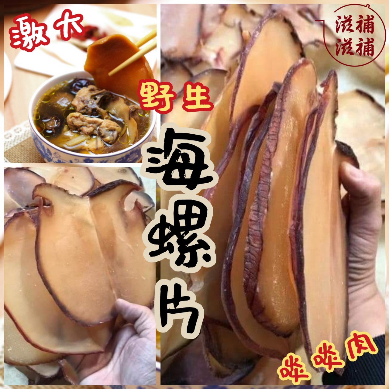 超大塊野生海螺片