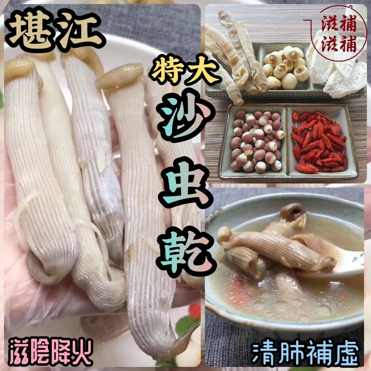 特大沙蟲干