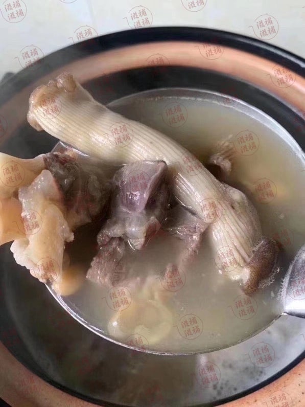 特大沙蟲干