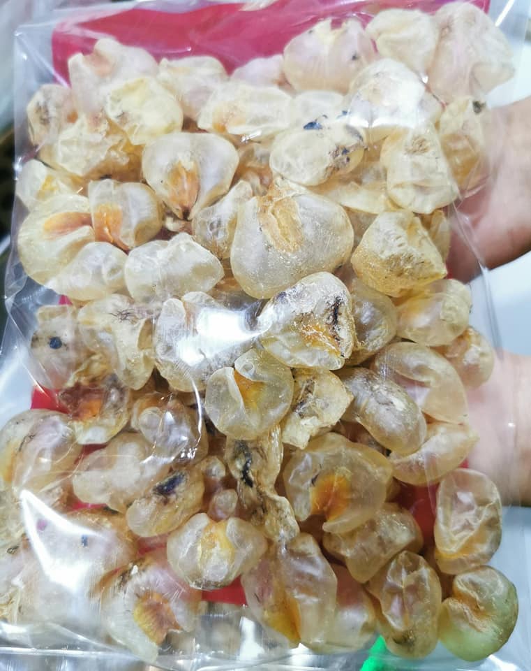 雞泡膠bb