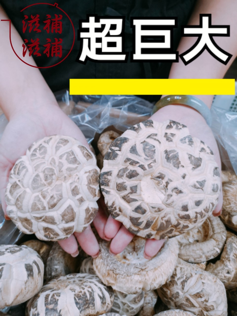 冬菇王