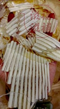 牙揀骨