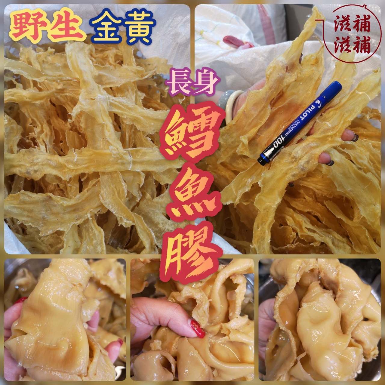 野生鱈魚膠