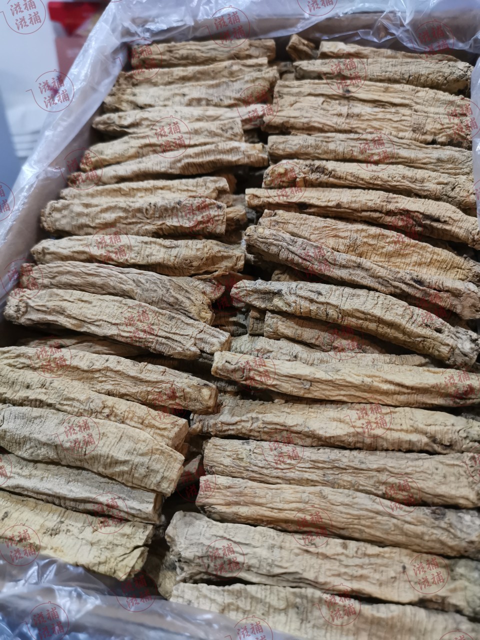 超特精選橫紋黨蔘