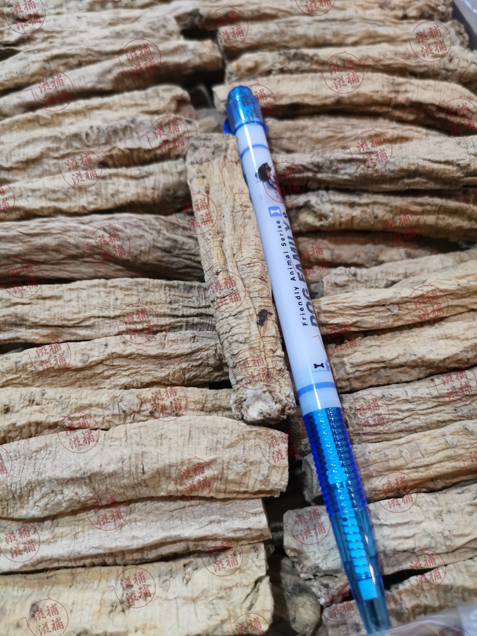 超特精選橫紋黨蔘