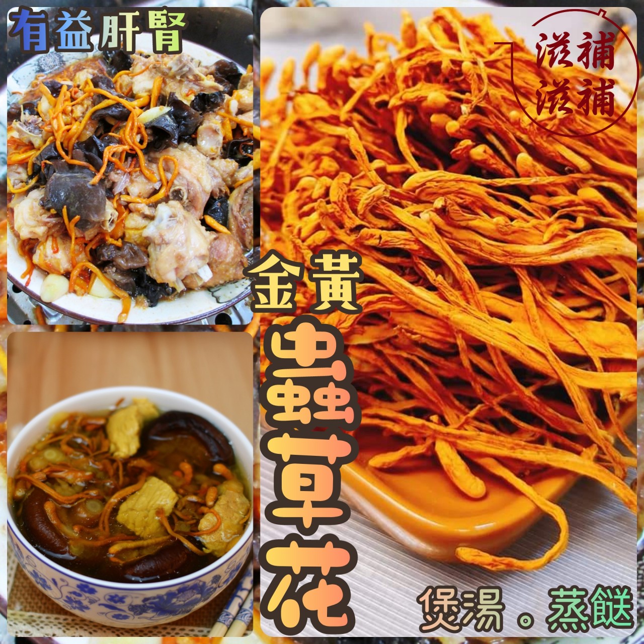 蟲草花