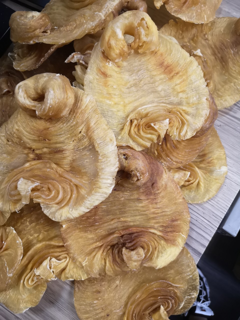 5頭非洲赤嘴鰵魚膠
