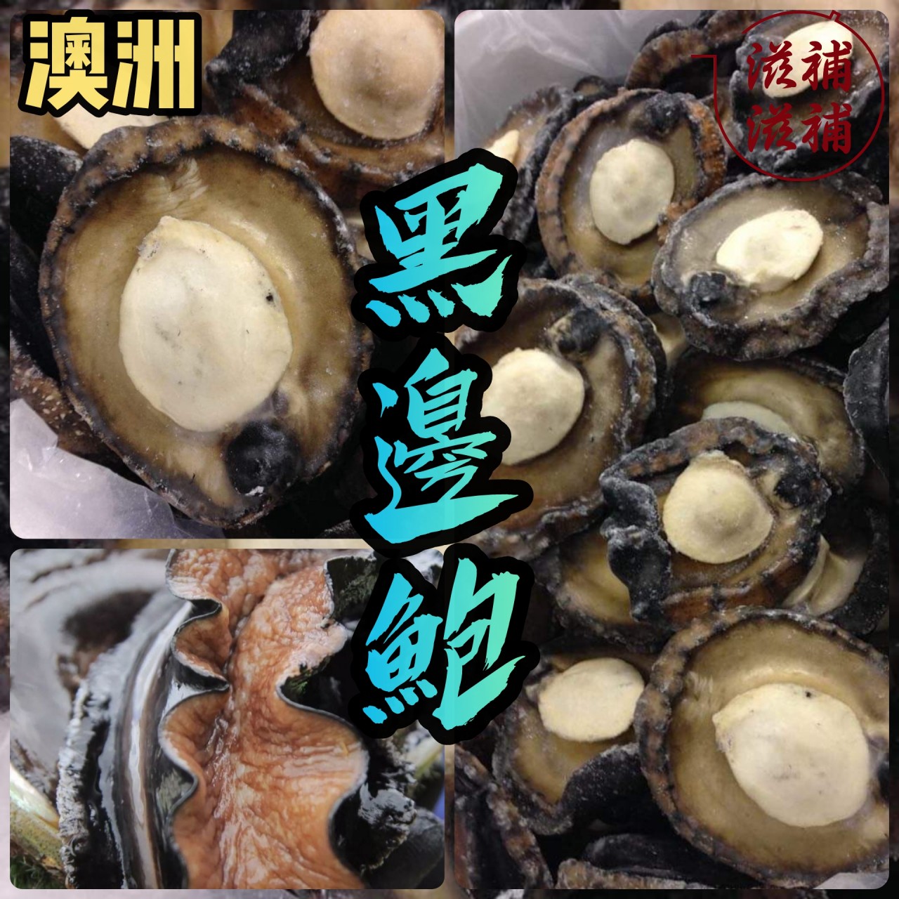 深海野生黑邊鮑魚