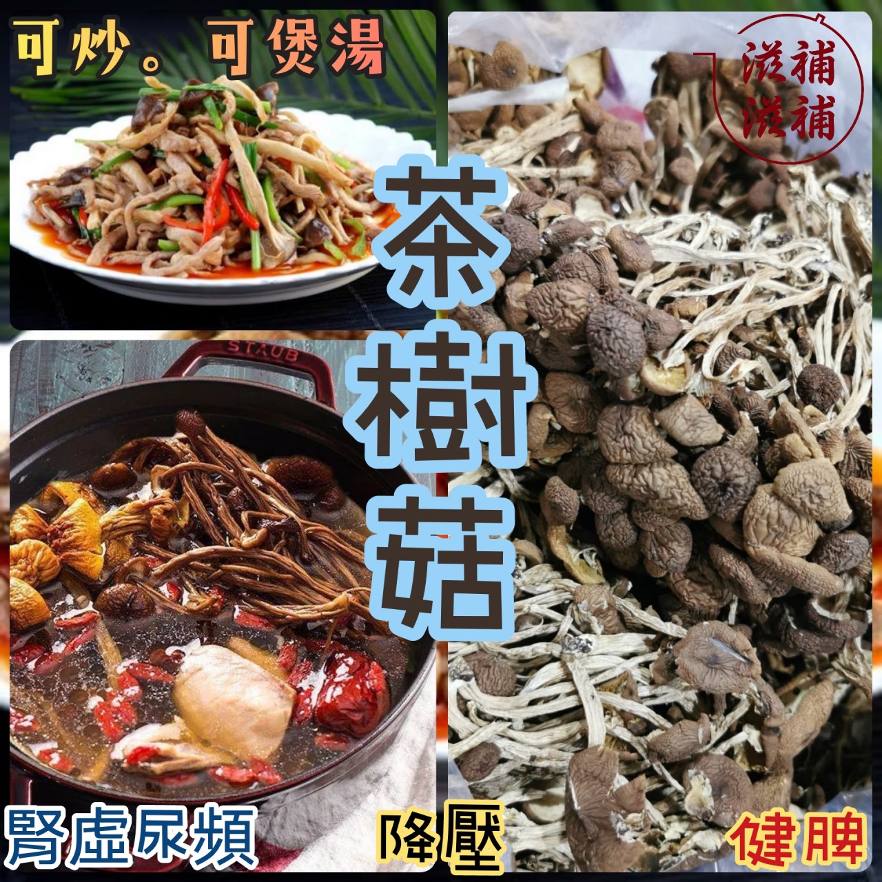 茶樹菇